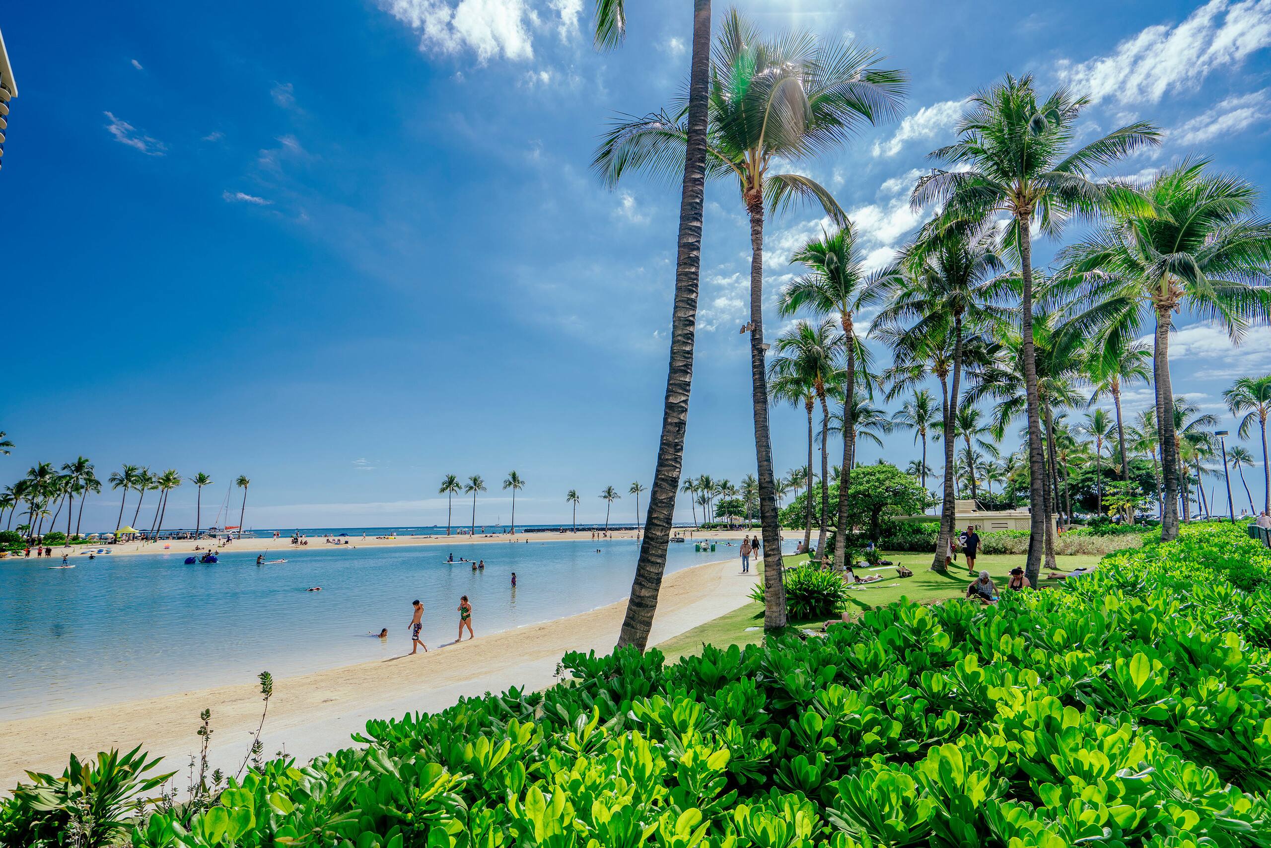 Condo in Honolulu · ★4.69 · 2 bedrooms · 3 beds · 2 private baths - Image 27