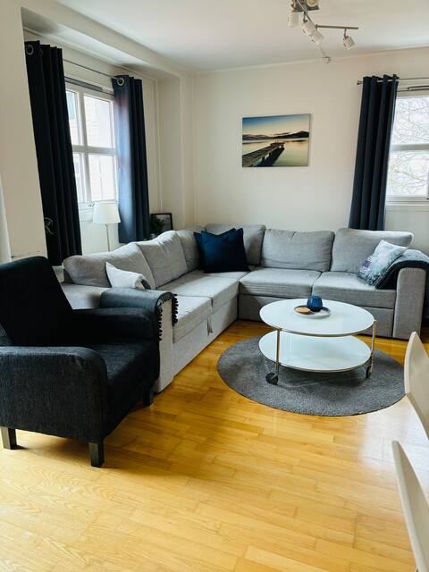 Bergen Centrum Spacious Apt.