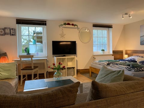 Top Airbnb: This apartment is 20 km from the city center in Altstadt