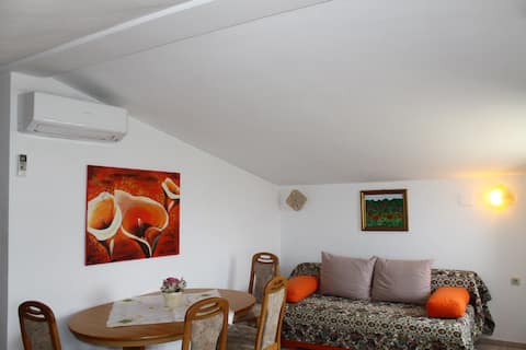 Successful Airbnb property: House with apartments Mara - Mara 3 in Murine