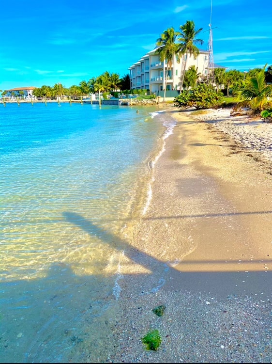 A sandy beach stretches along the clear, calm waters, reflecting blue skies. Gentle waves lap at the shore, while tropical vegetation decorates the beach. In the background, a multi-story building is visible, surrounded by palm trees, enhancing the coastal atmosphere.
