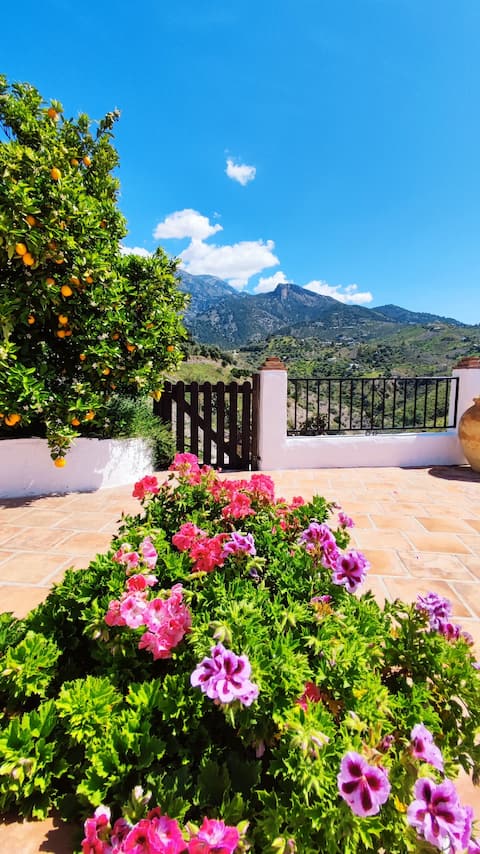 Casa Mango VTAR/MA/01347