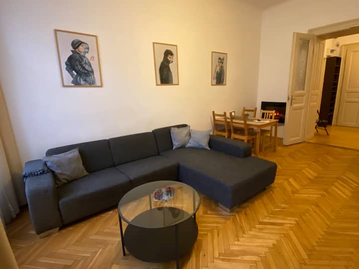 David Relax Apartment-big Flat City Center - Prague