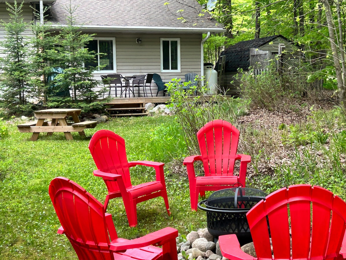 A forested backyard features a fire pit surrounded by four vibrant red Adirondack chairs. A picnic table is situated nearby, with a view of the home and patio area in the background, which includes a table and chairs for outdoor dining.
