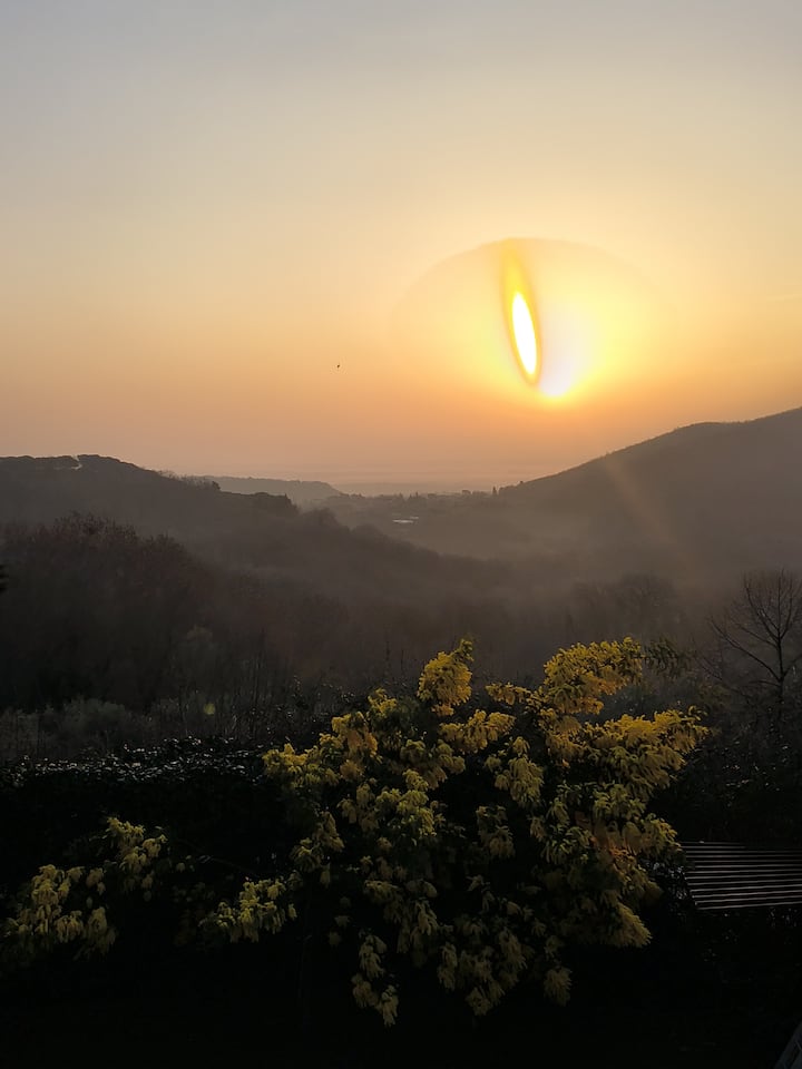 Appartamento  Panoramico A Montepulciano - Chianciano Terme