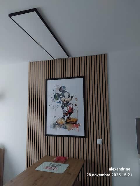 Top performing Airbnb: Charming little apartment in Disneyland! in Serris