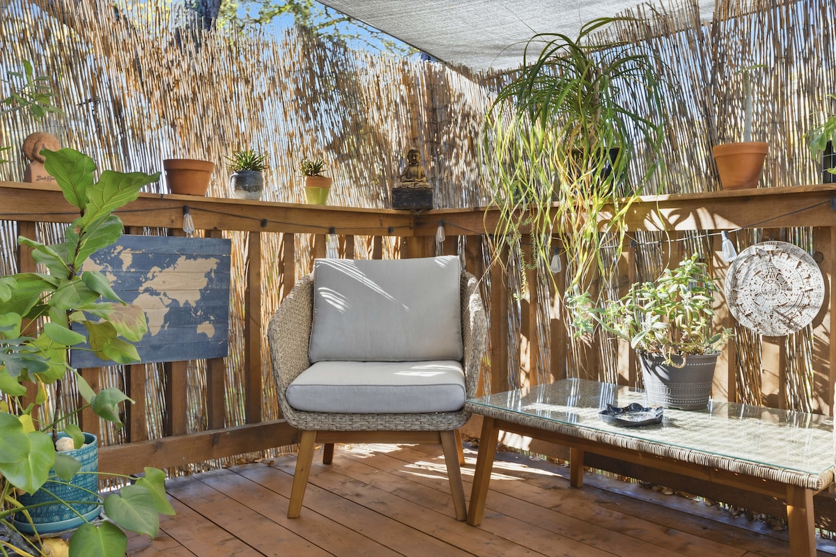 The Succulent Suite - East Central Oasis