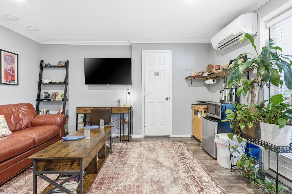 The Succulent Suite - East Central Oasis