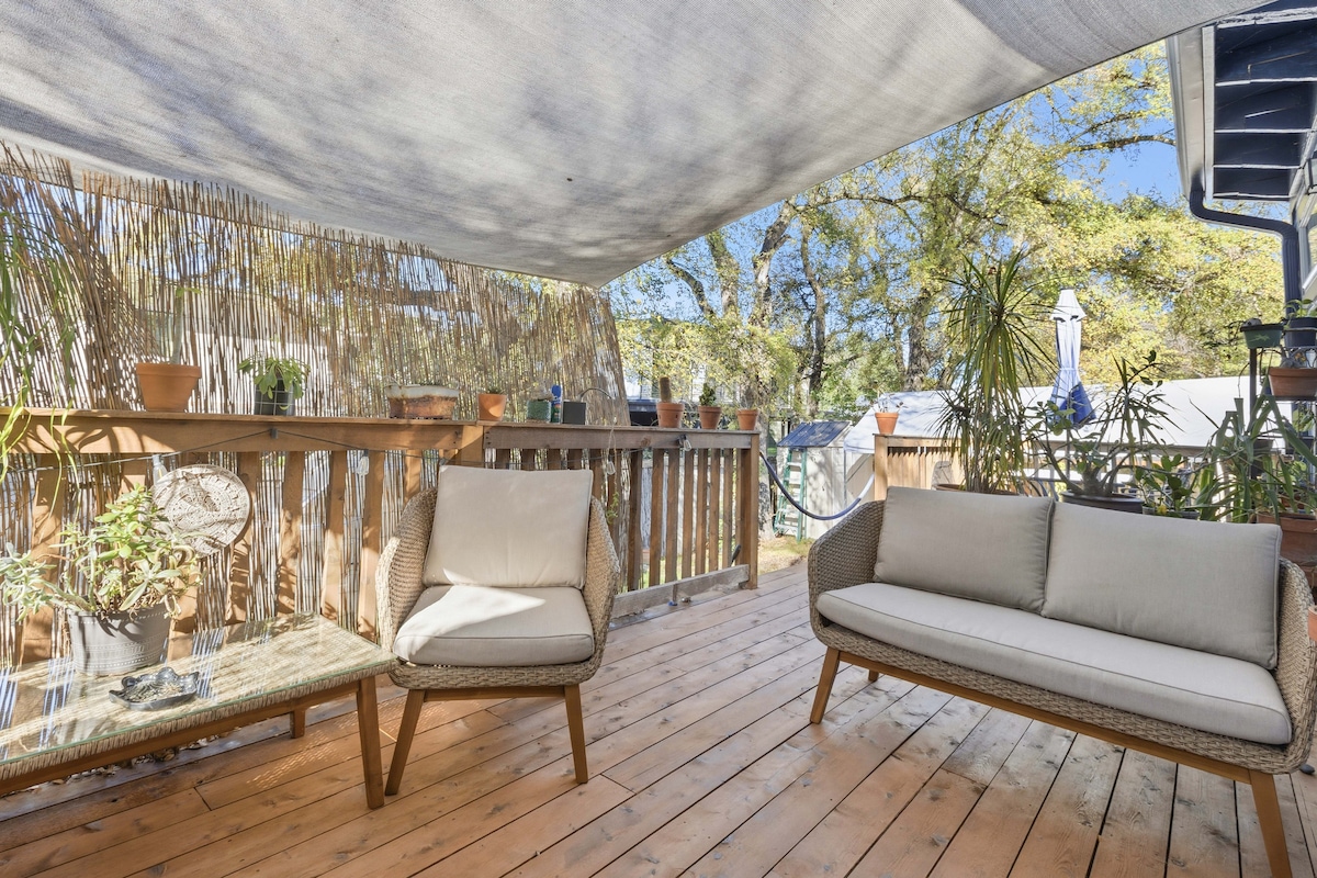 The Succulent Suite - East Central Oasis