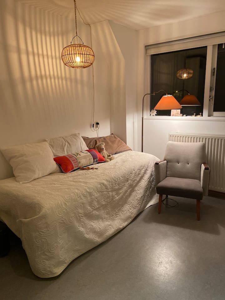 საძინებელი 1