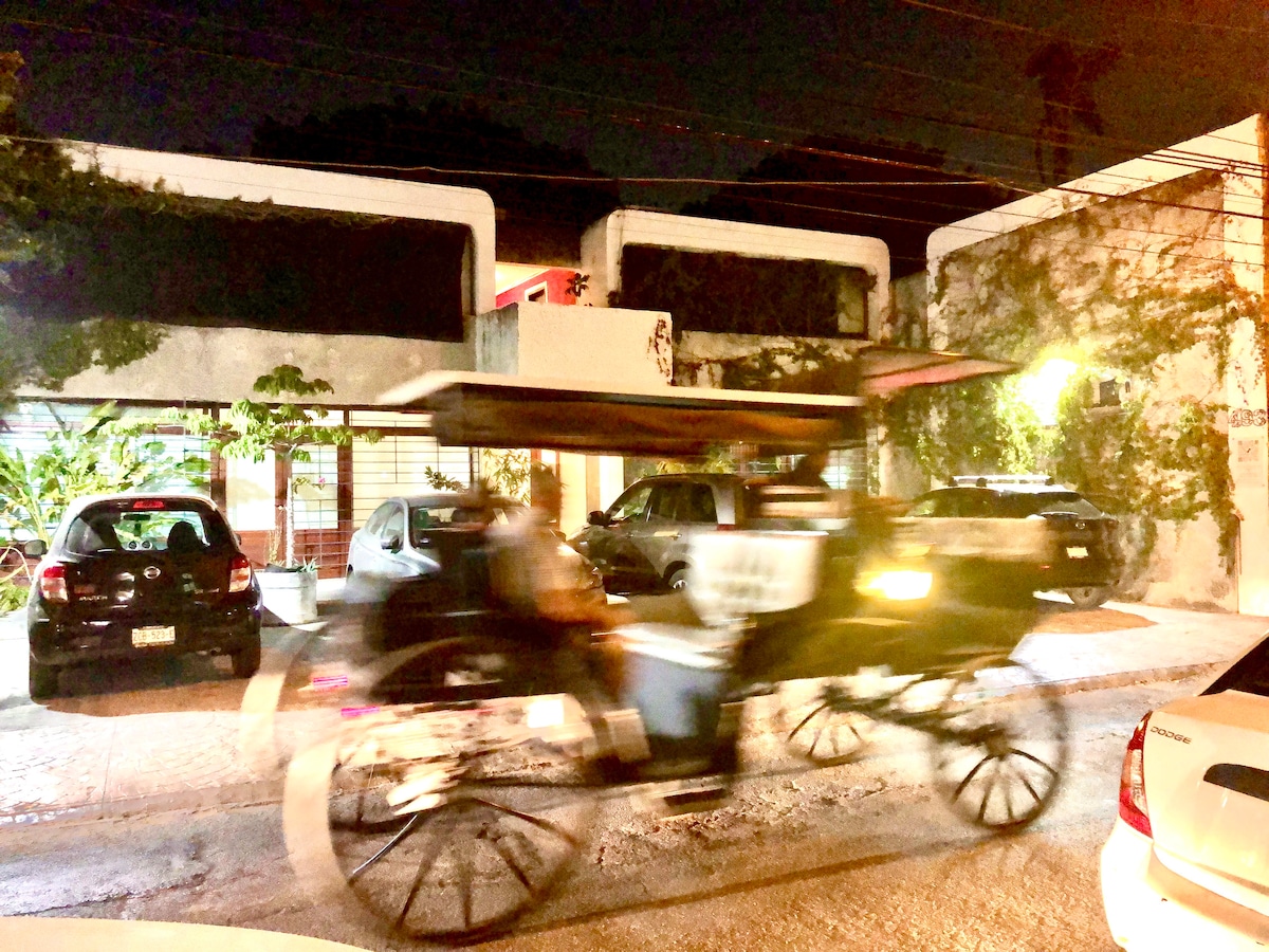 A street view captures a horse-drawn carriage in motion, with several parked vehicles visible along the curb. The building facade features a combination of light and shadow, with greenery present along the walls. Street lights create a soft glow, enhancing the nighttime atmosphere.