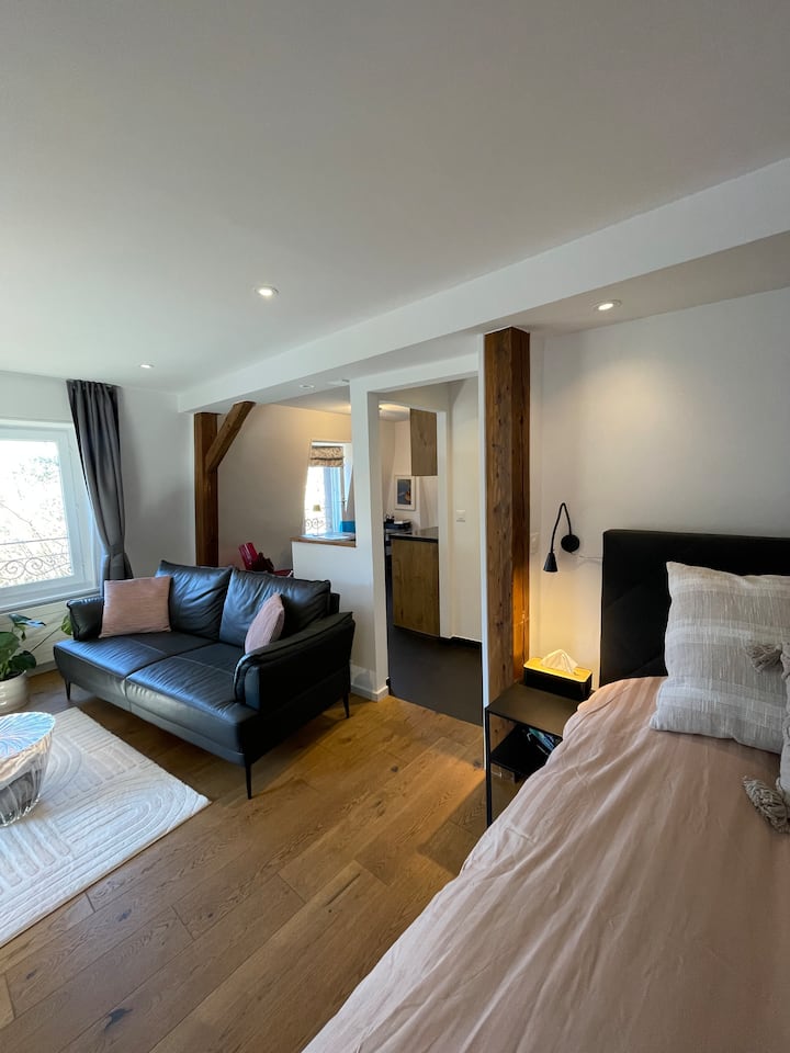 Loft With Rooftop, Stunning View Of The Lake! - Vevey