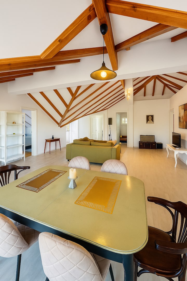 Spacious Artistic Lux Penthouse Loft - Belgrad