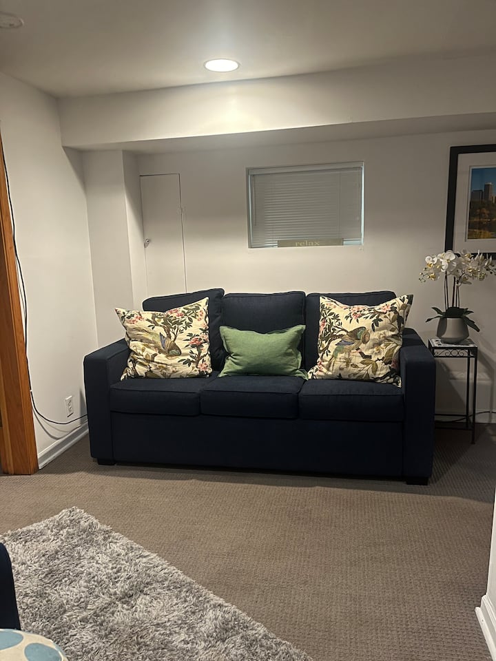 Pottery Barn Queen  Sofa Bed