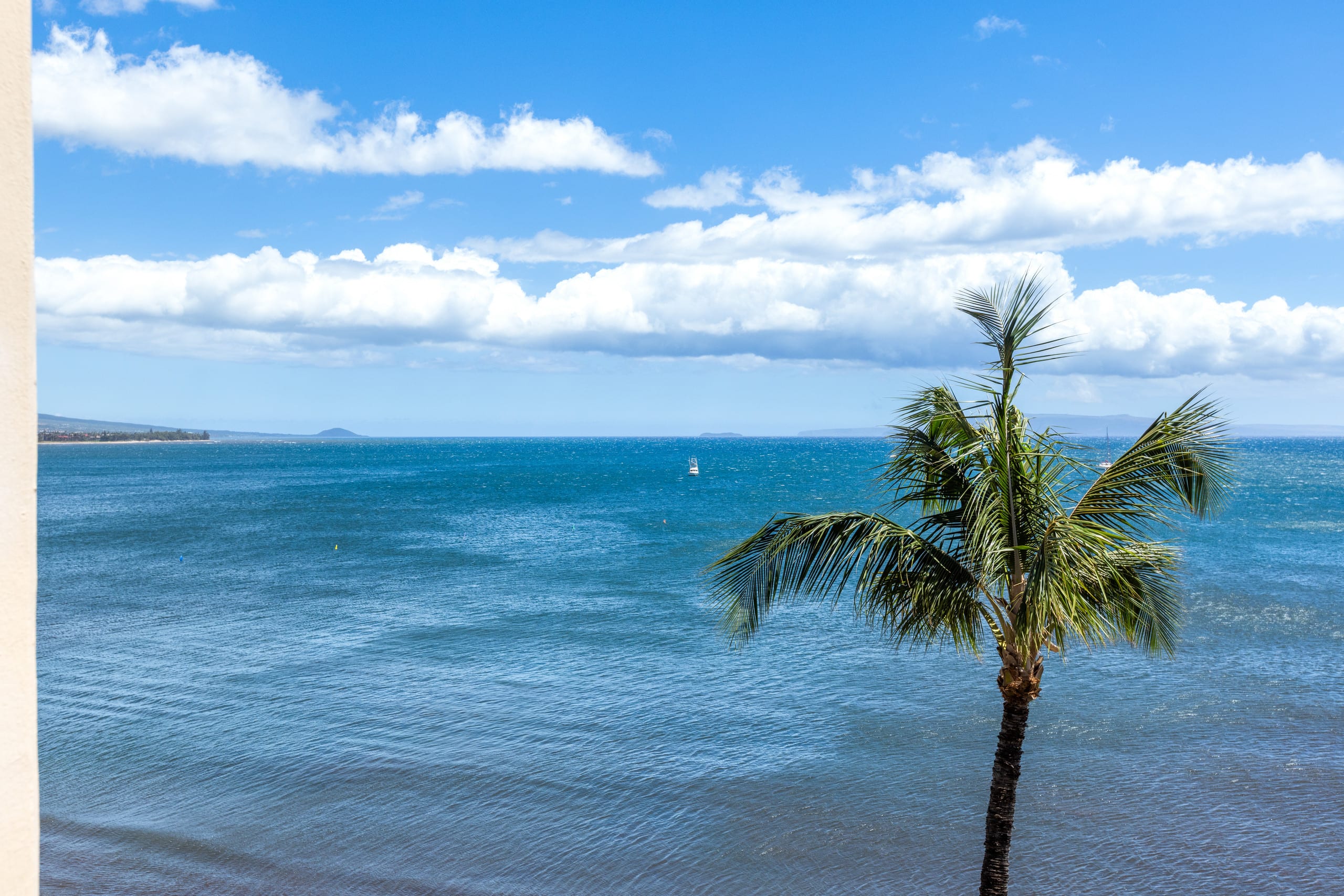Sugar Beach! Direct Ocean Front! Best Views! #620 - Image 35