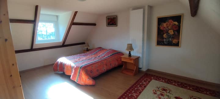 Habitación 4