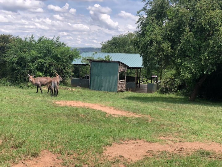 Kacheera Camp A-frames - Uganda