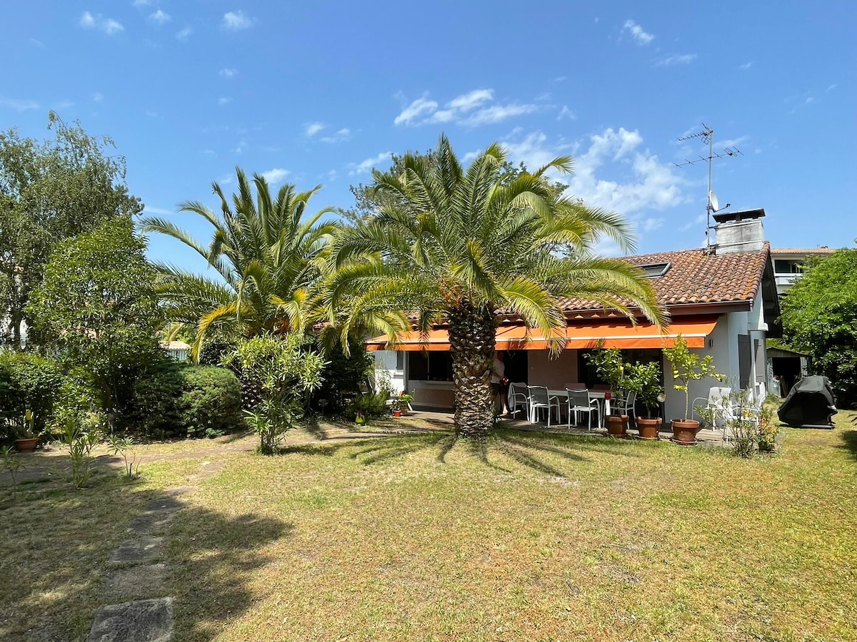 A spacious yard is framed by vibrant palm trees and lush greenery. The house features a covered terrace with several chairs and table arrangements, designed for outdoor relaxation. Bright sunlight illuminates the scene, enhancing the tranquil outdoor space.