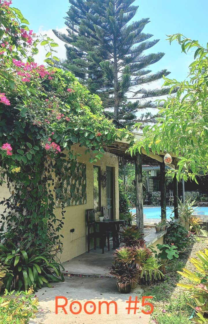 With 2 Double bed, Extra Mattress, Pillows & Blankets, A/C , T&B w/ heater. Adjacent to Swimming pool #2