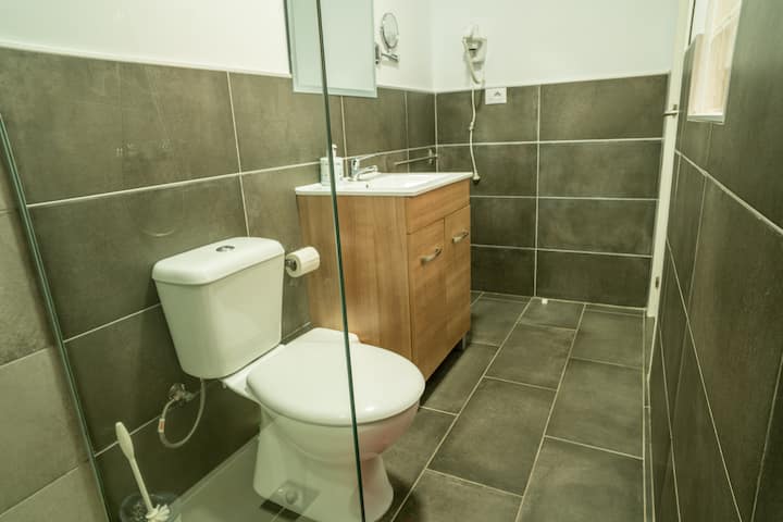 Baño completo con ducha amplia, inodoro y mueble de madera: espacioso y luminoso.