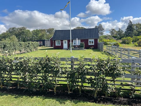 Unique accommodation in Särdal with sea view