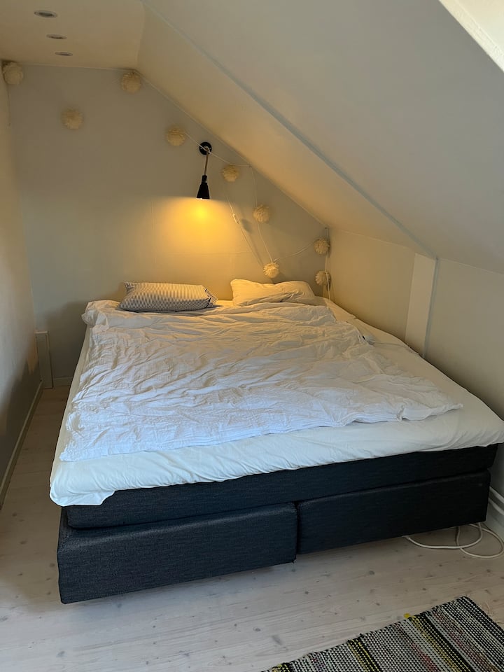 Habitación 5