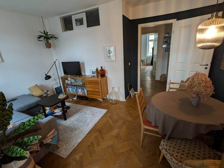 Cozy Altbau Im Szeneviertel Plagwitz - Leipzig