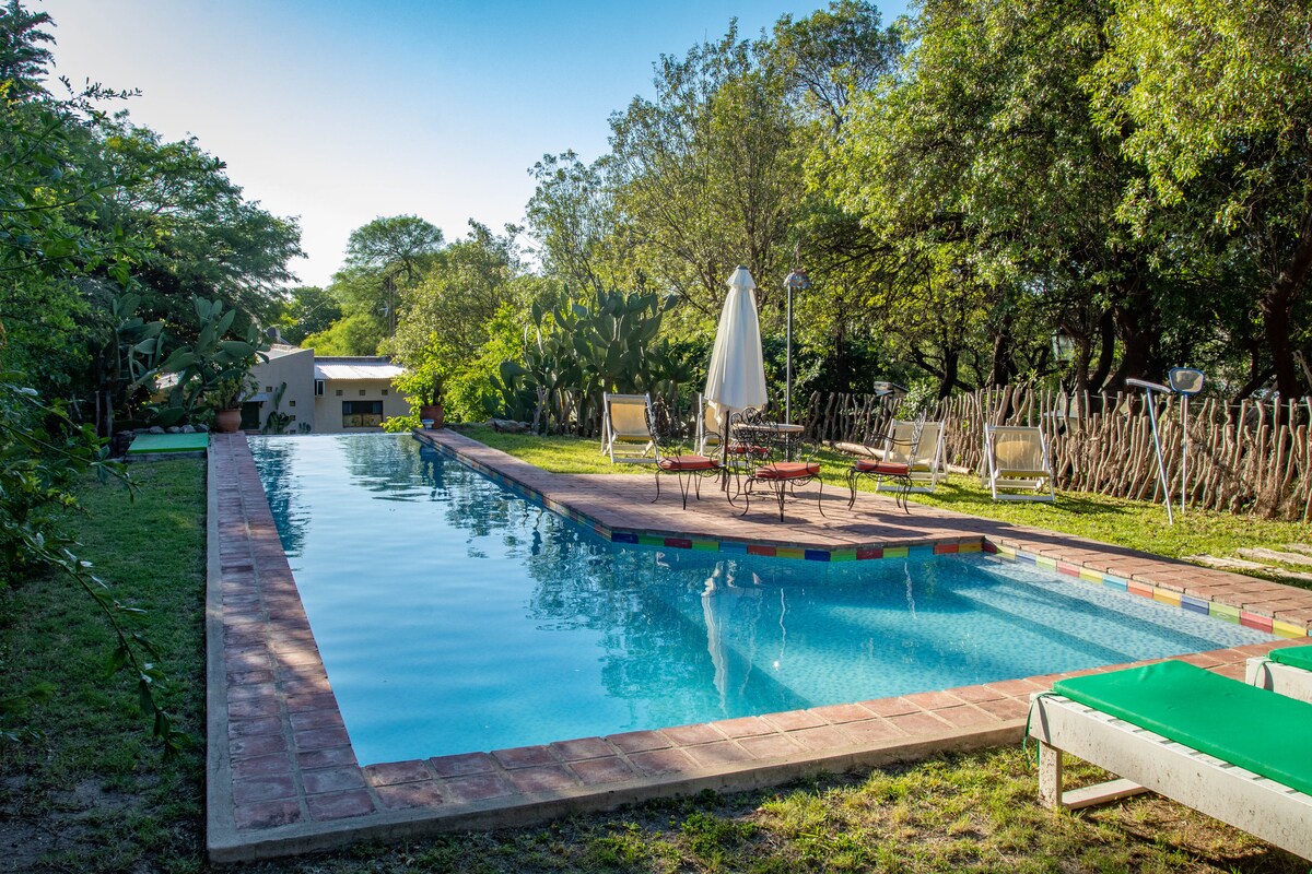 A serene swimming pool is surrounded by lush greenery and sun loungers. The pool features a striking blue hue, with colorful tiles lining its edge. A shaded sitting area with a table and chairs offers a relaxing spot to enjoy the outdoors.