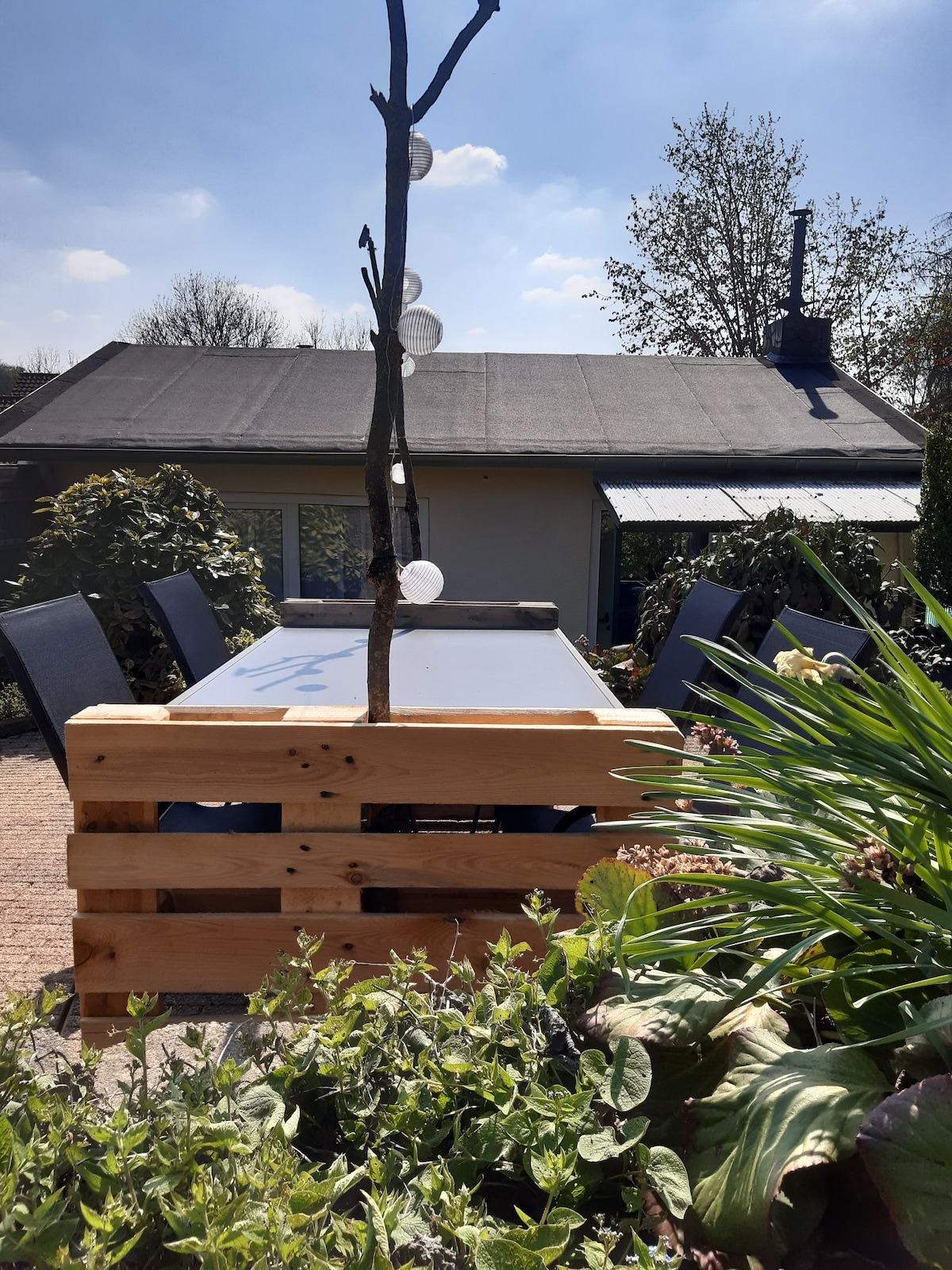 A wooden dining table surrounded by several dark chairs is positioned outside, providing a space for meals. A decorative tree enhances the setting, while green plants and a clear blue sky create a bright and inviting atmosphere. The house is visible in the background.