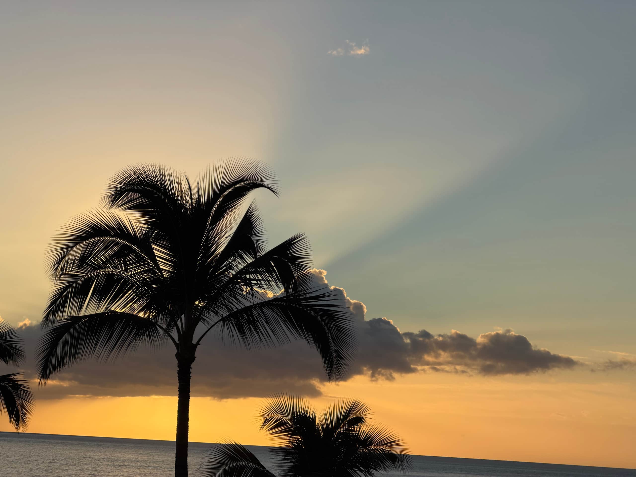Condo in Kihei · ★4.99 · 2 bedrooms · 3 beds · 2 baths - Image 41