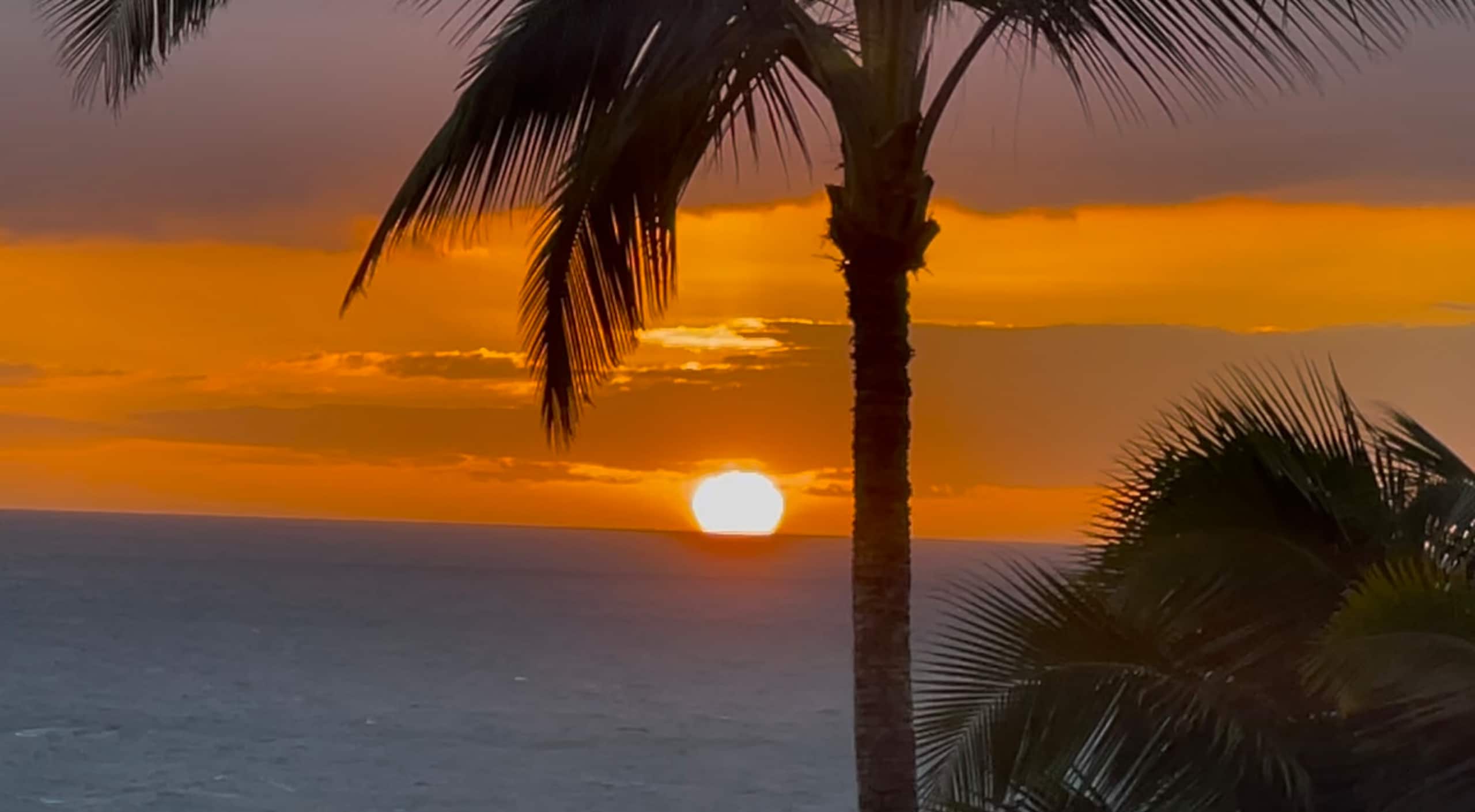 Condo in Kihei · ★4.99 · 2 bedrooms · 3 beds · 2 baths - Image 37