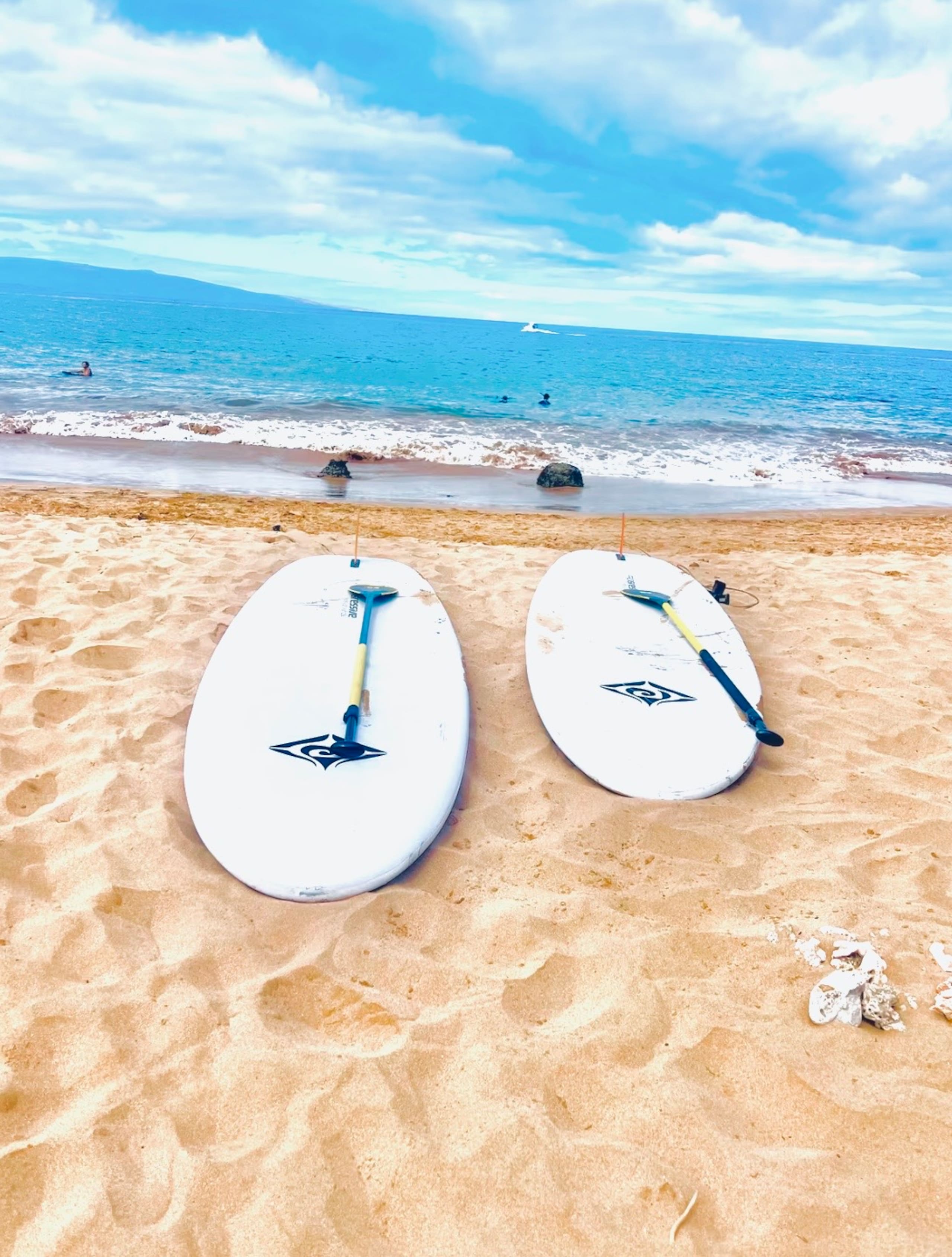 Condo in Kihei · ★4.99 · 2 bedrooms · 3 beds · 2 baths - Image 32