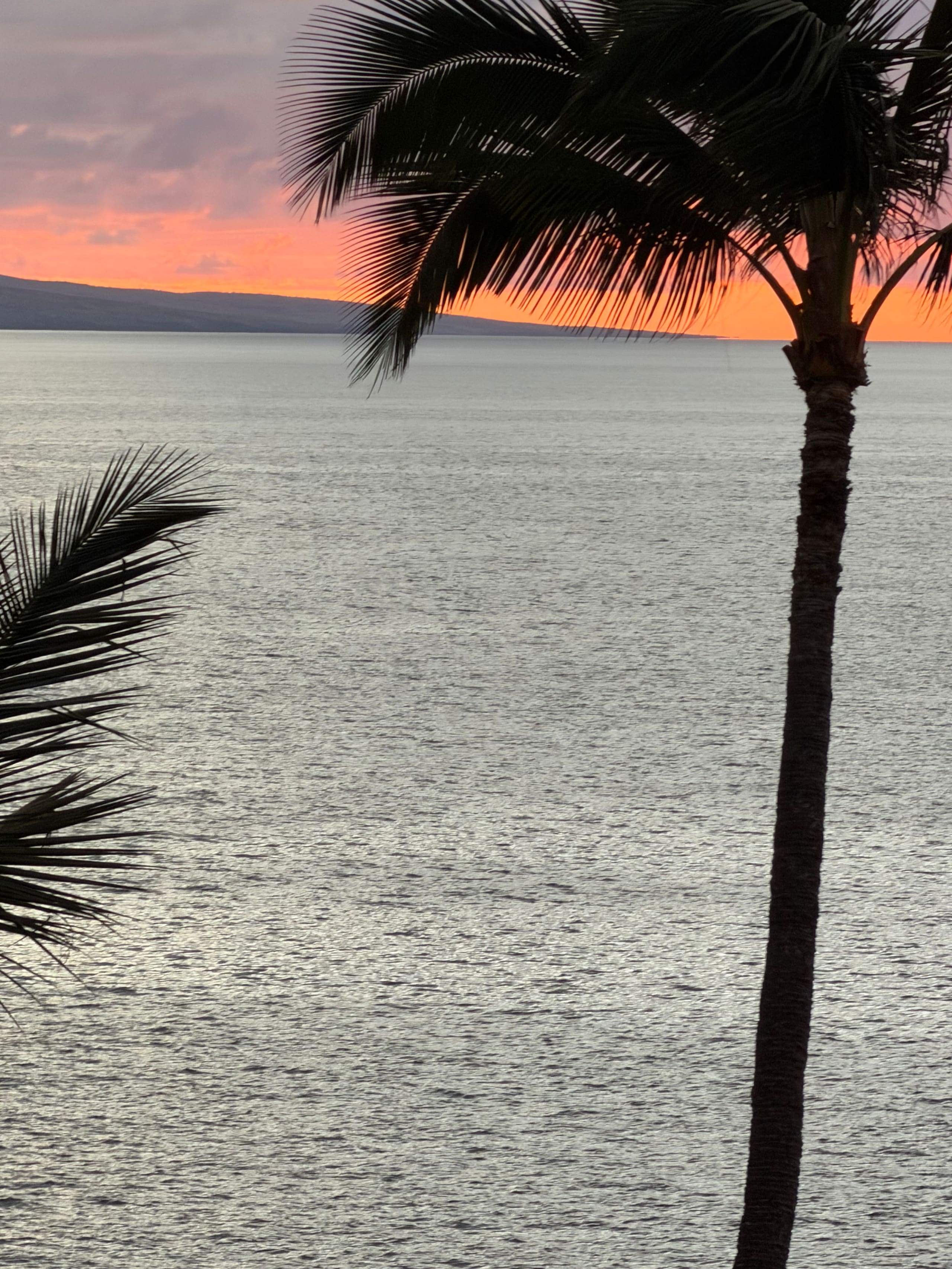 Condo in Kihei · ★4.99 · 2 bedrooms · 3 beds · 2 baths - Image 44