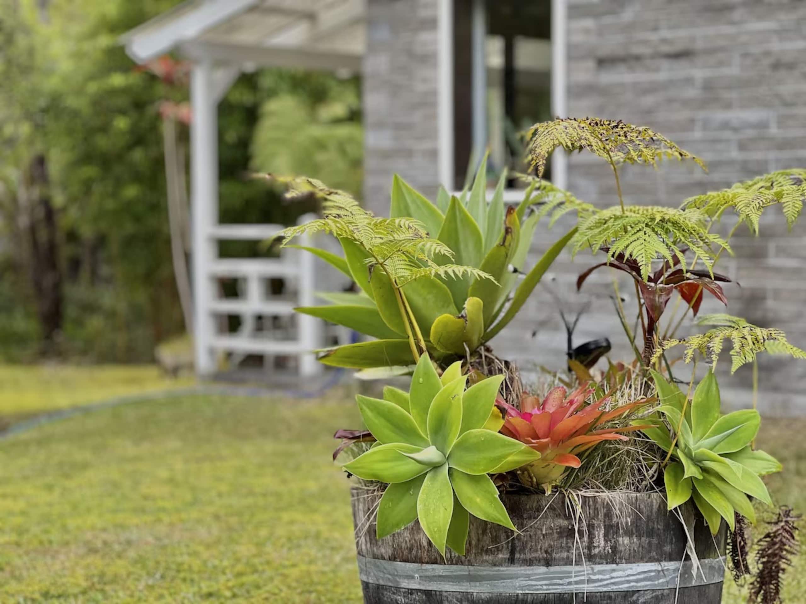 Cabin in Volcano · ★4.84 · 2 bedrooms · 4 beds · 1 bath - Image 28