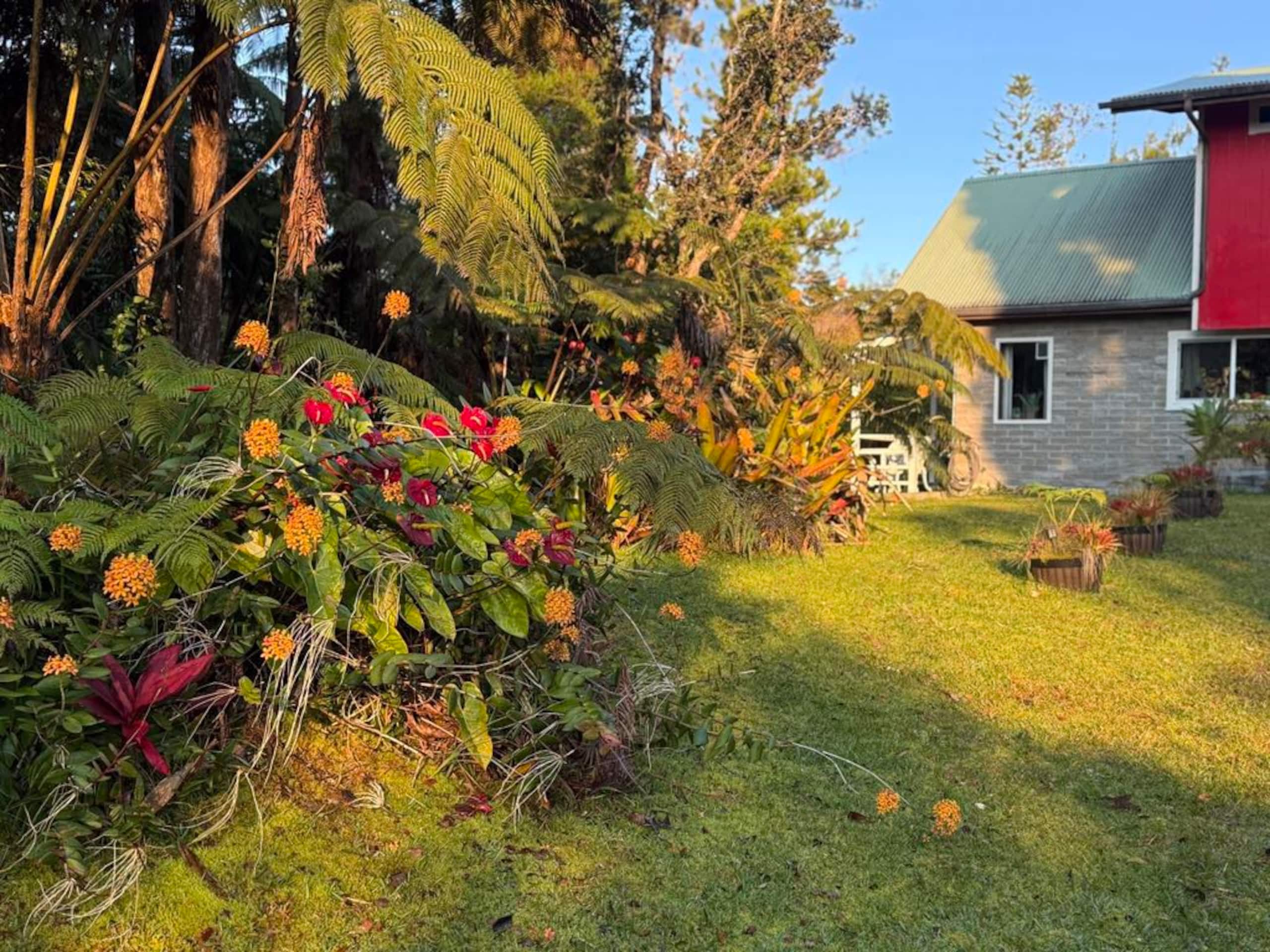 Cabin in Volcano · ★4.84 · 2 bedrooms · 4 beds · 1 bath - Image 29