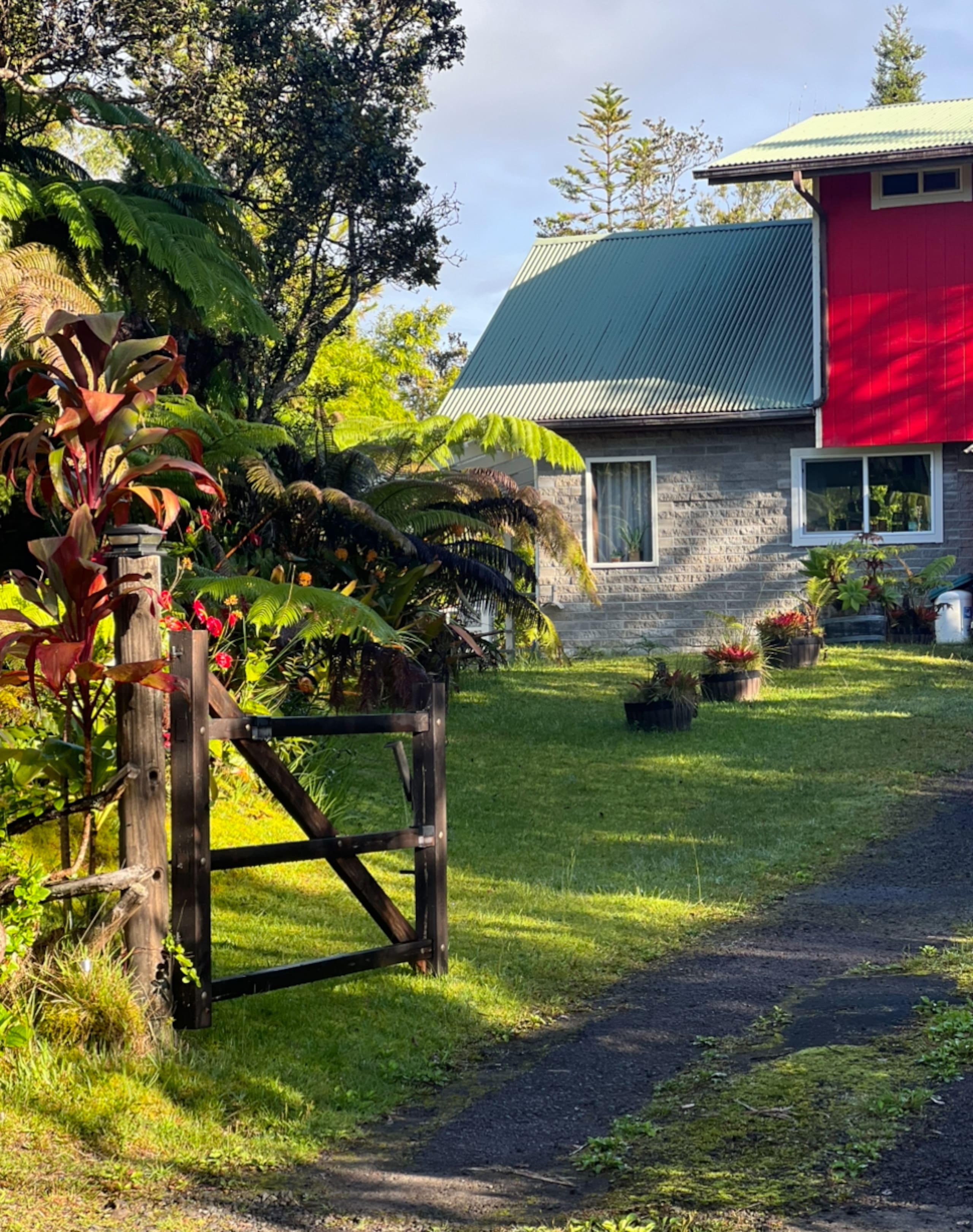 Cabin in Volcano · ★4.84 · 2 bedrooms · 4 beds · 1 bath - Image 32