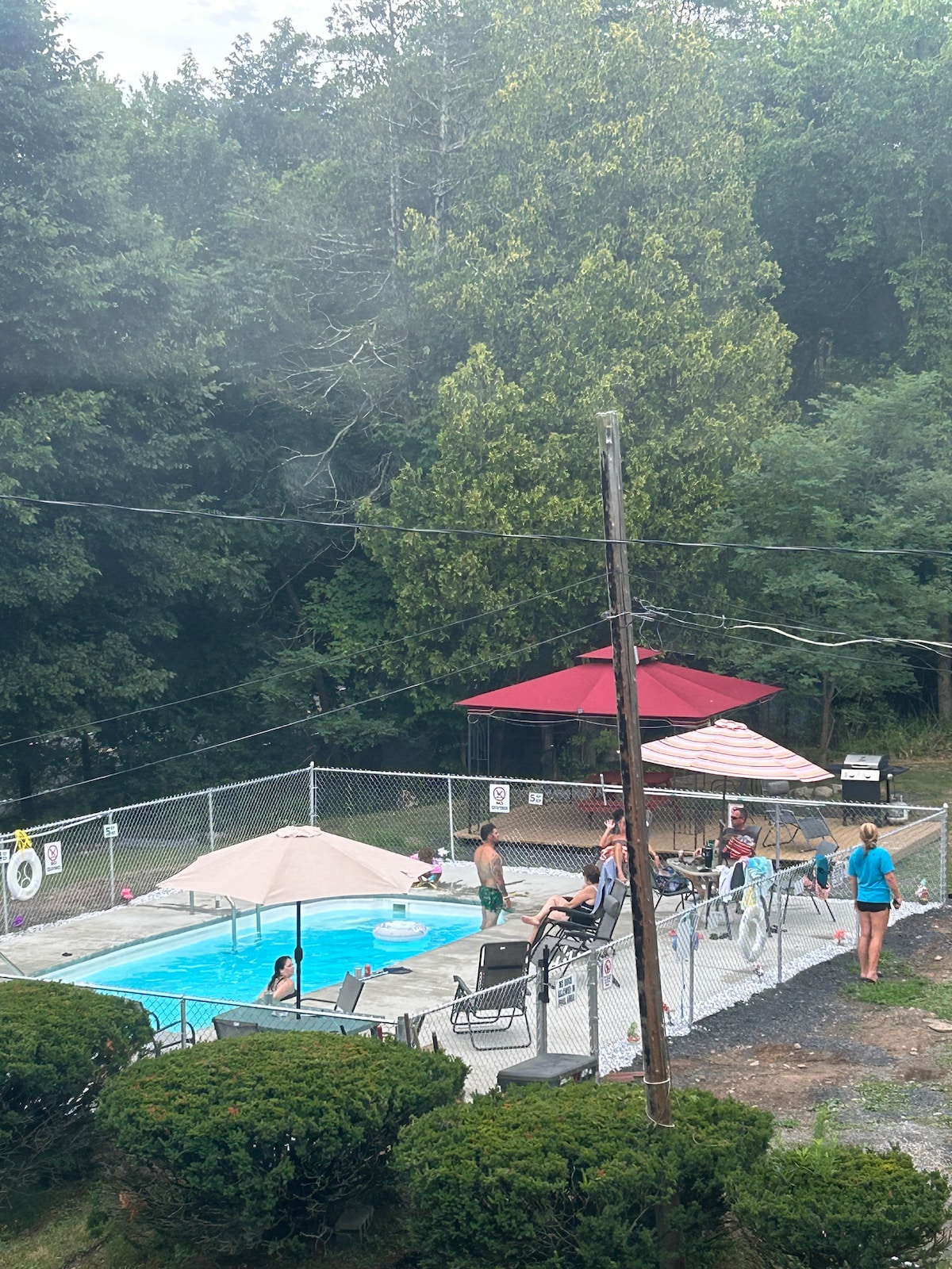 阳光、树荫和泳池氛围。」