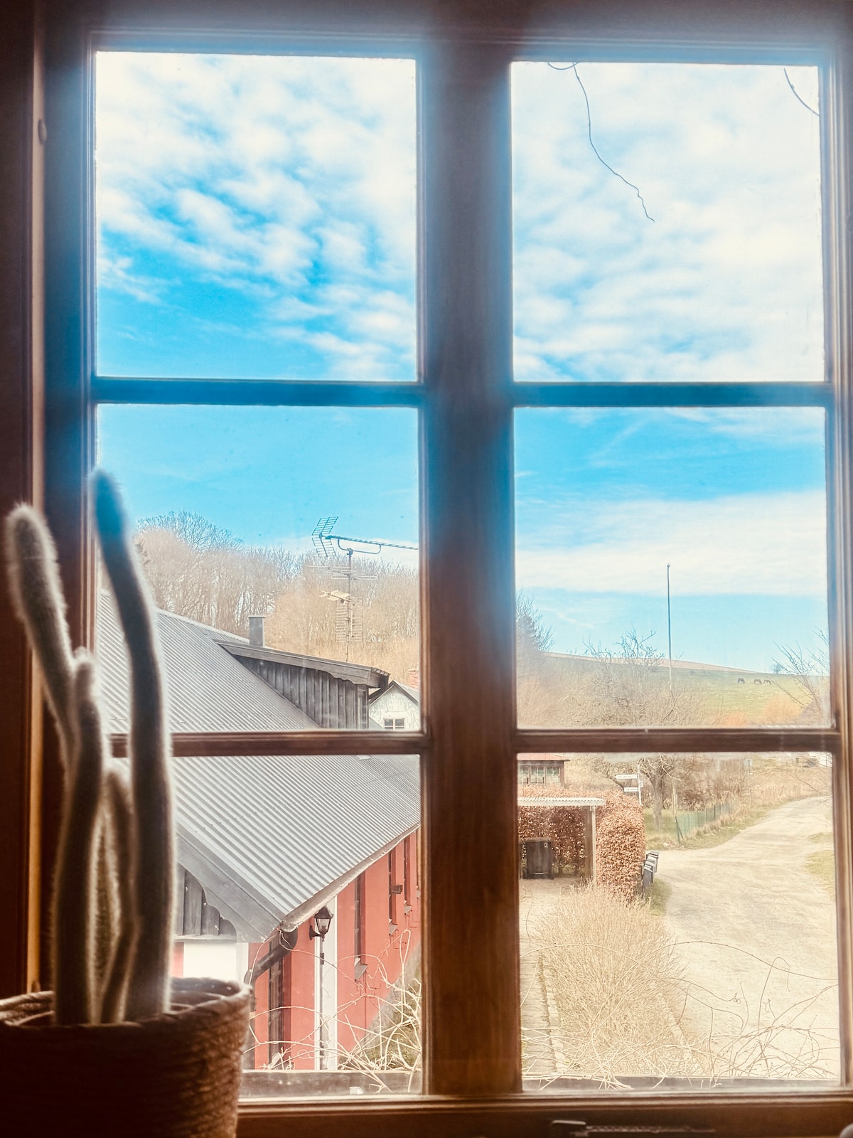 Изглед от апартамент 1