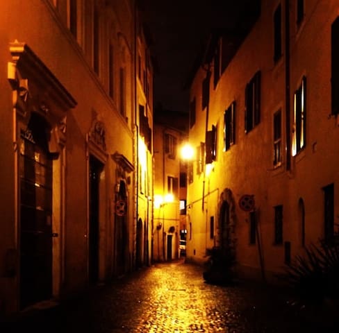 Campo dei Fiori Apartment