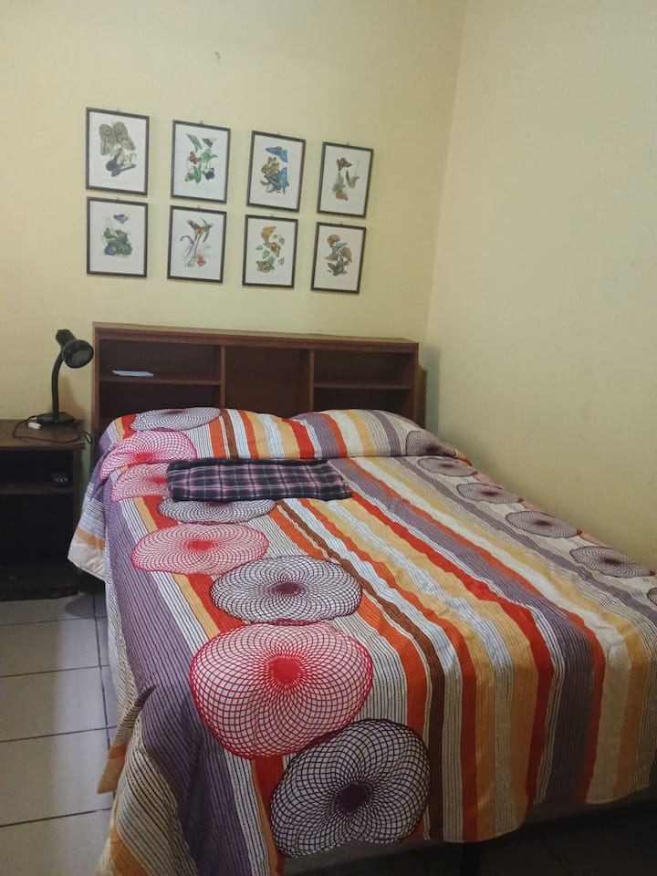 Quarto 2