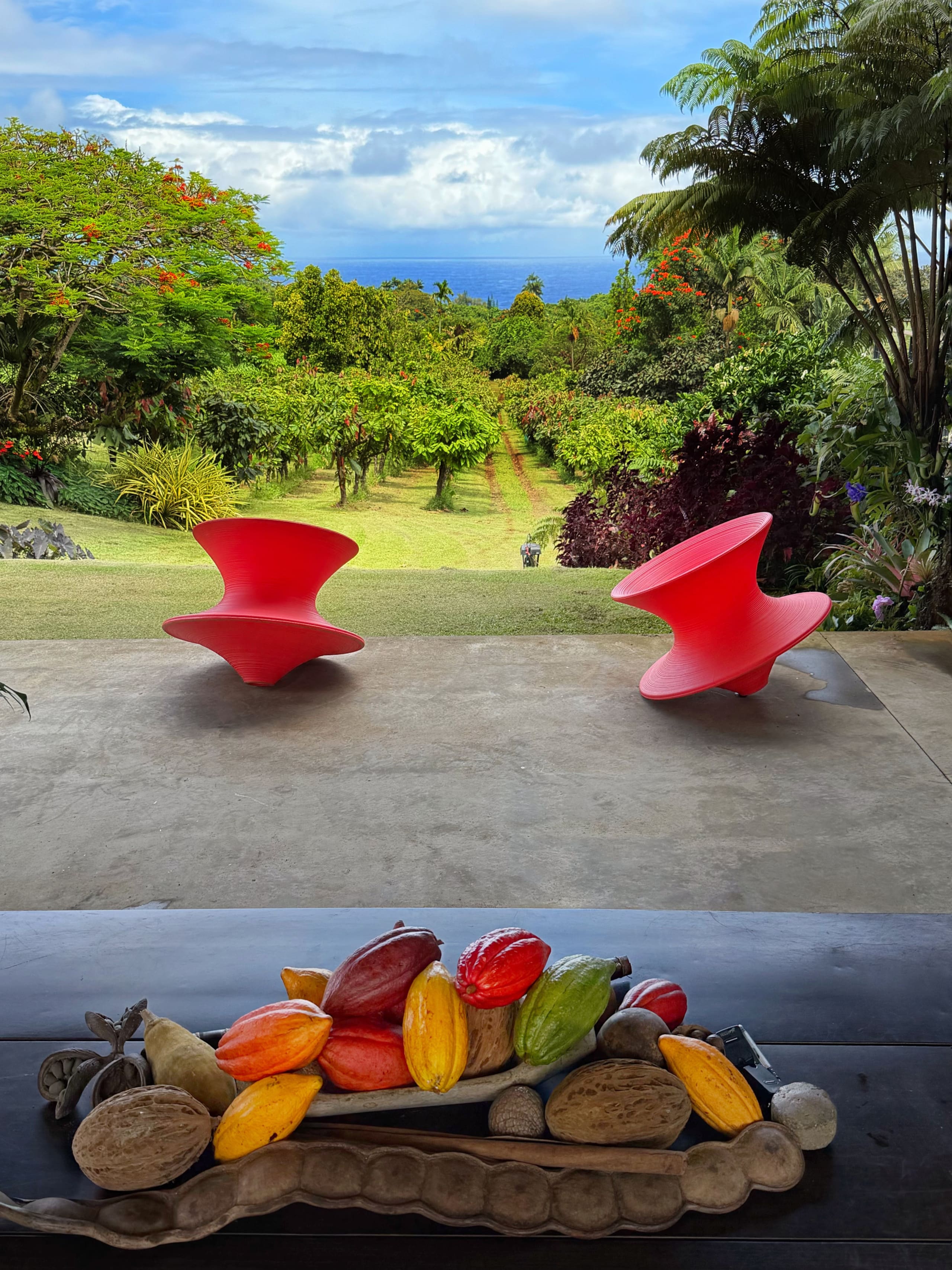 Cacao-Ocean Room at Hamakua Chocolate Farm - Image 26