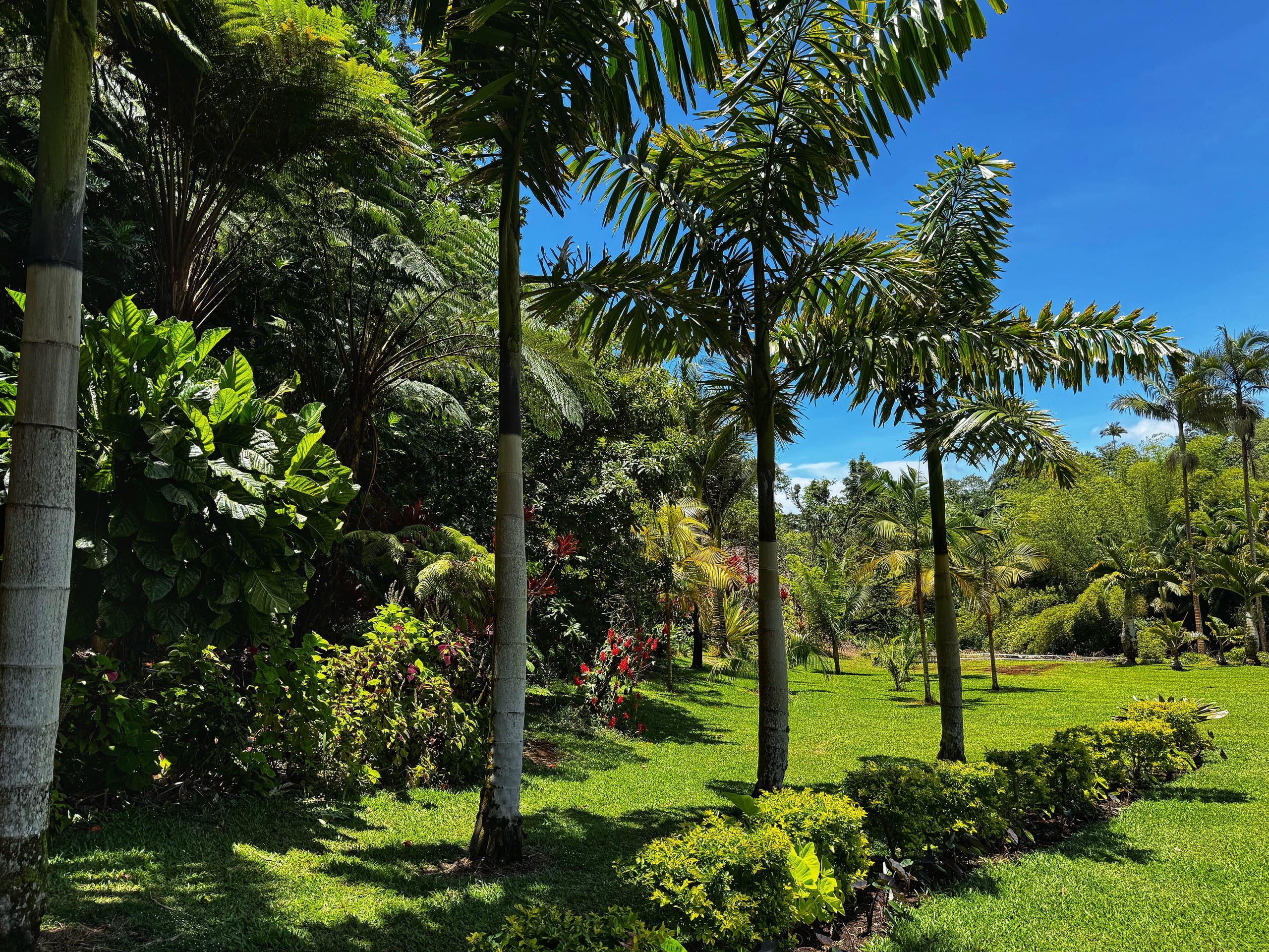 Cacao-Ocean Room at Hamakua Chocolate Farm - Image 19