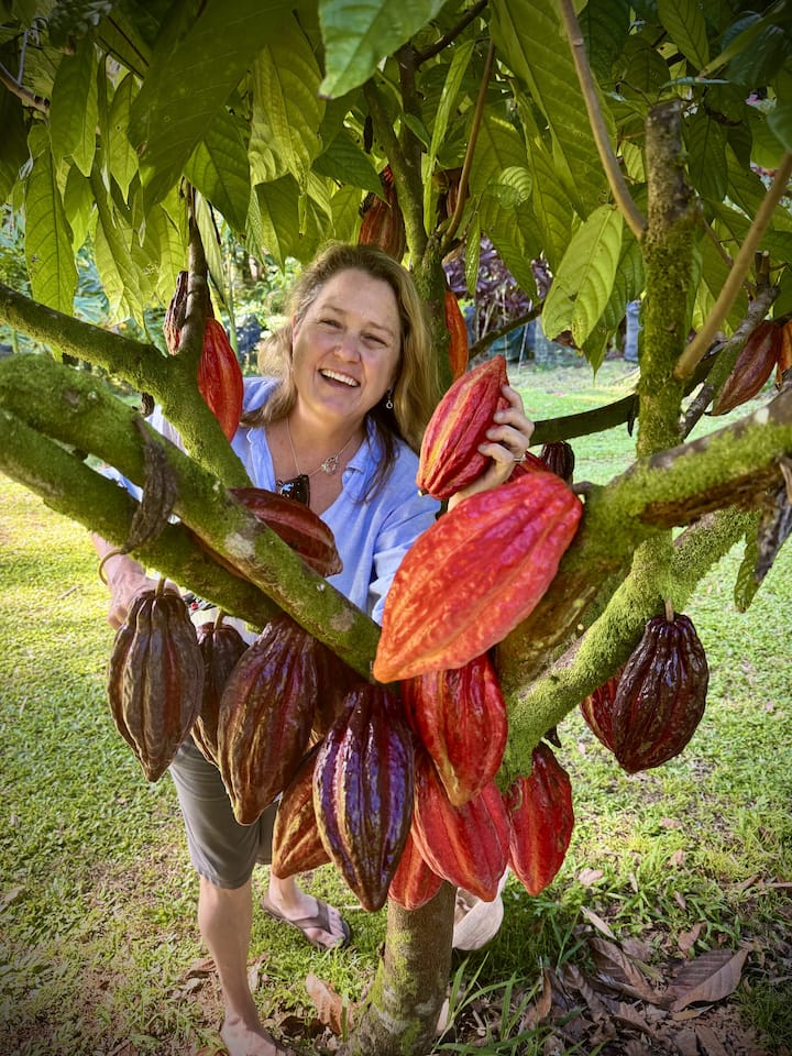 Cacao-Ocean Room at Hamakua Chocolate Farm - Farm stays for Rent