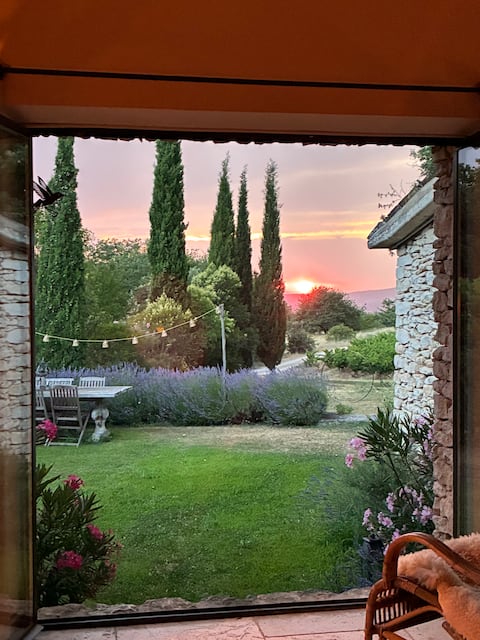 Ancient shepherd in the heart of the vineyards.