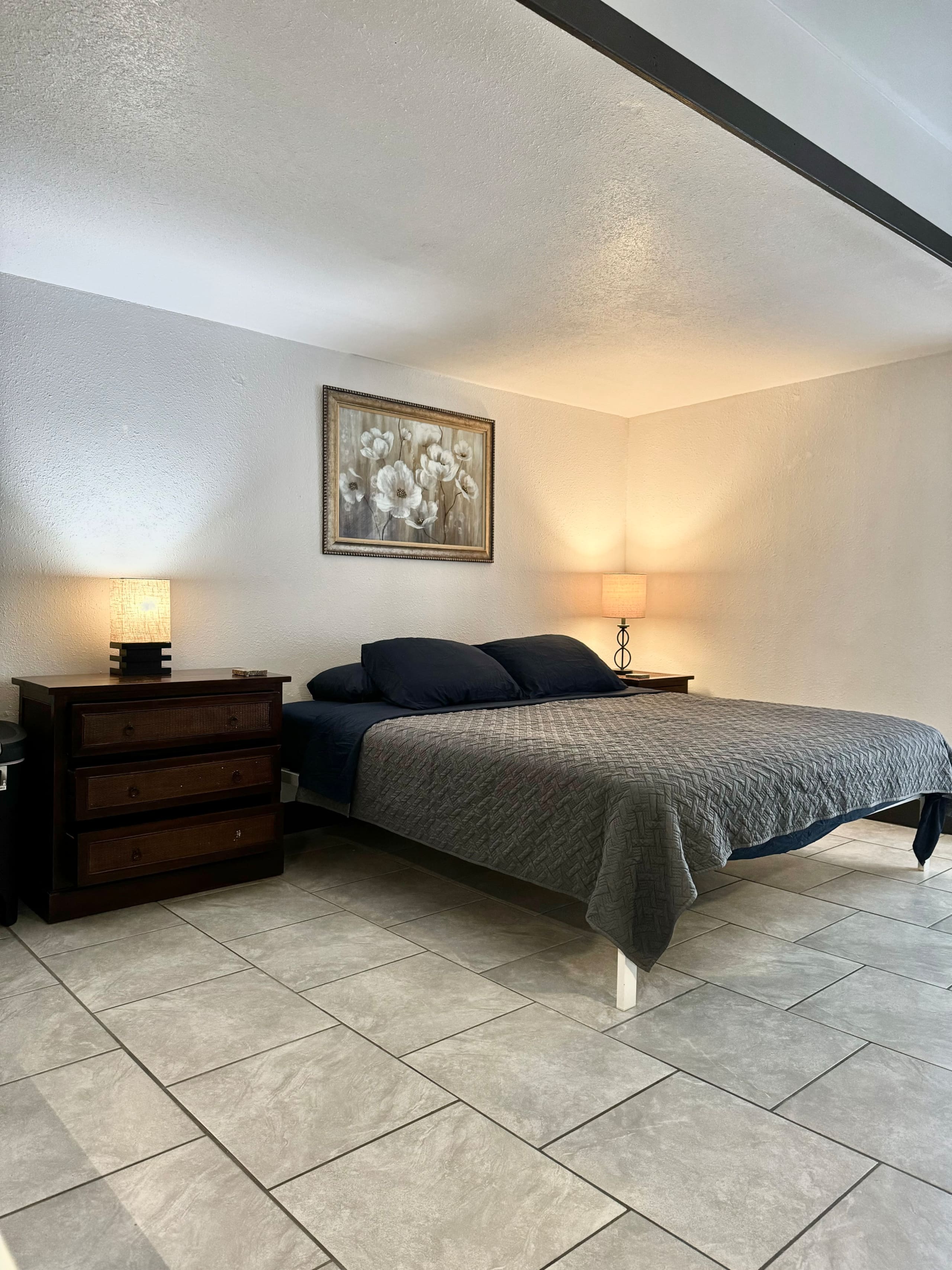 Studio Suite with Open floor plan - Photo 2