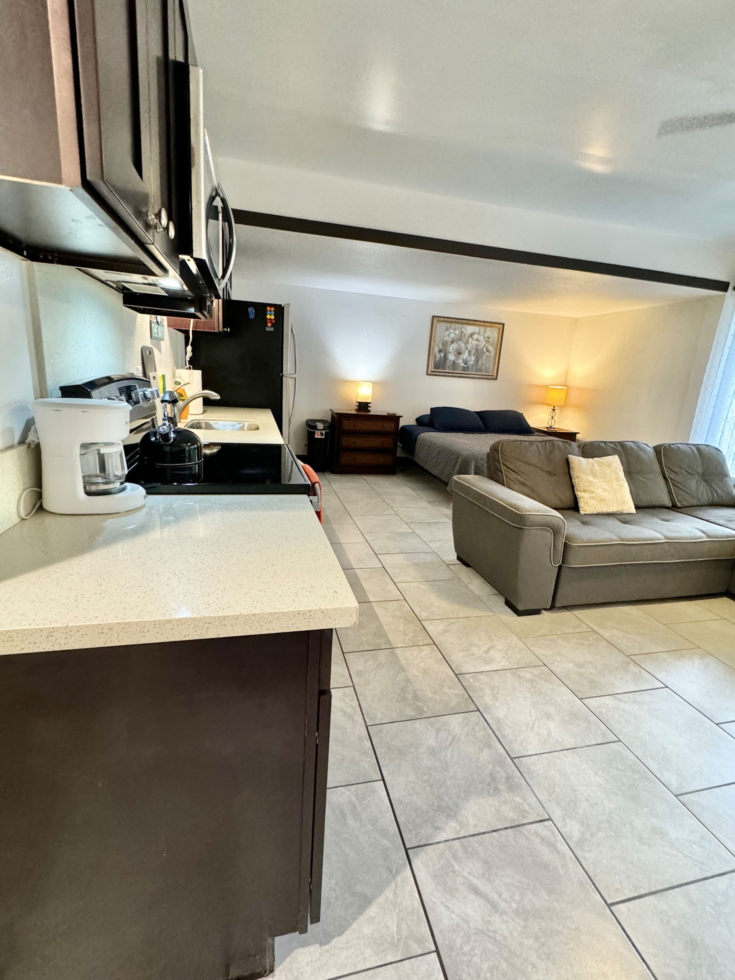 Studio Suite with Open floor plan - Photo 12