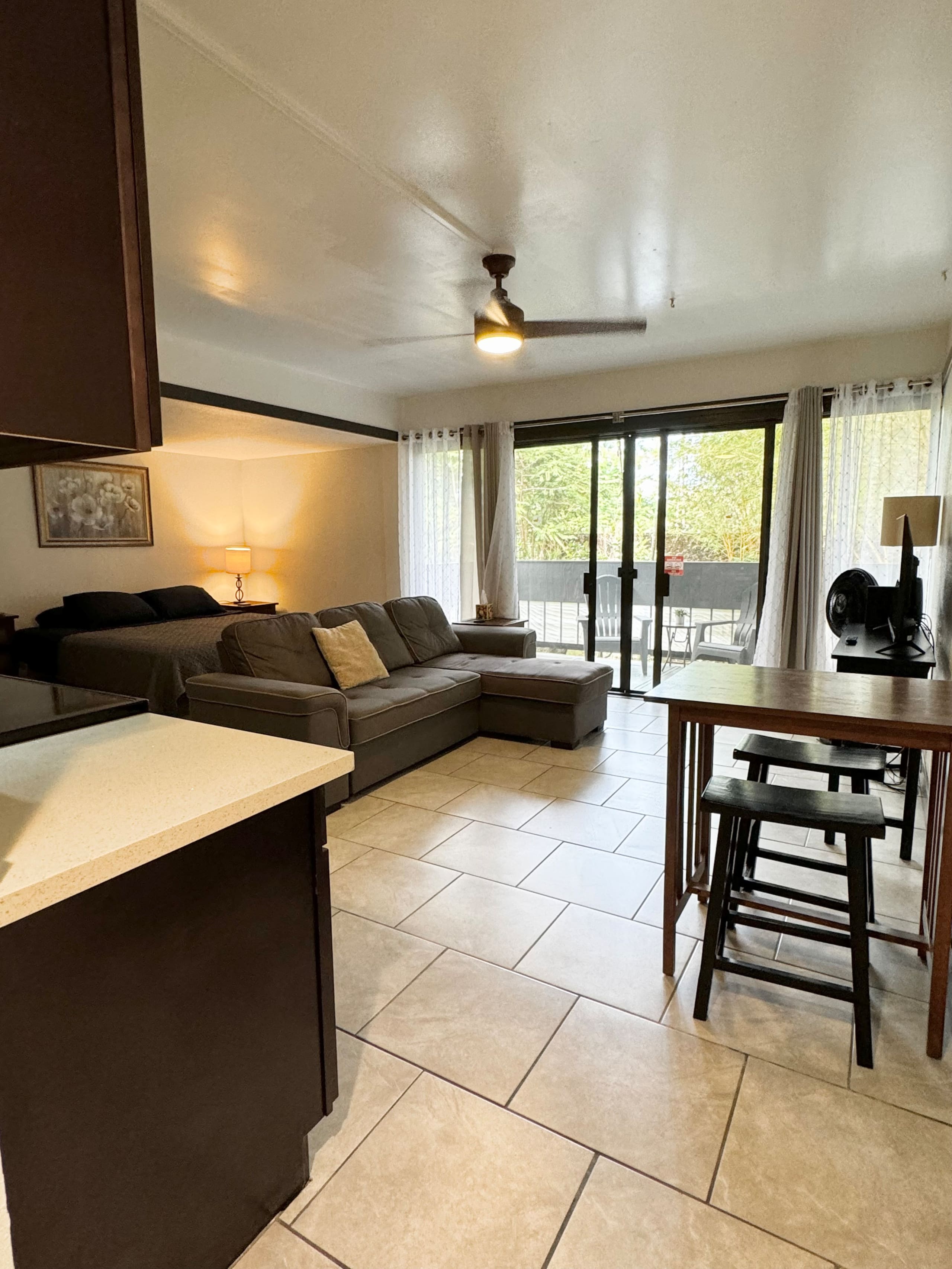Studio Suite with Open floor plan - Photo 11