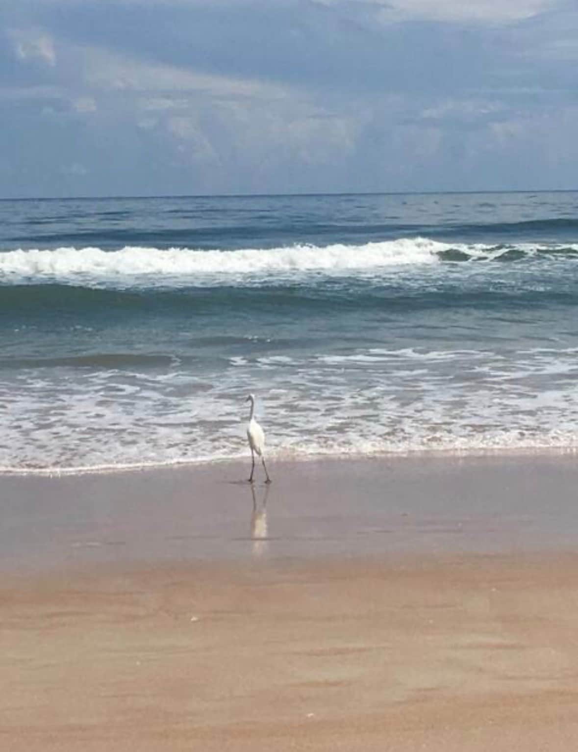 Camp 5 Diamonds Beach Bungalow
