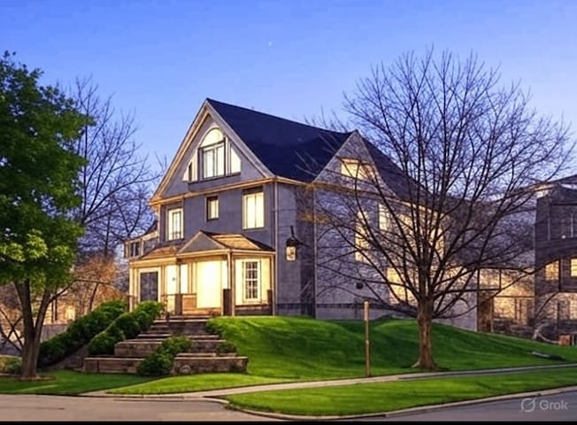 Biggest Mansion in denver downtown. 5069 feet gallery image 2