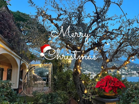 Villa Mares, sea view and free garage